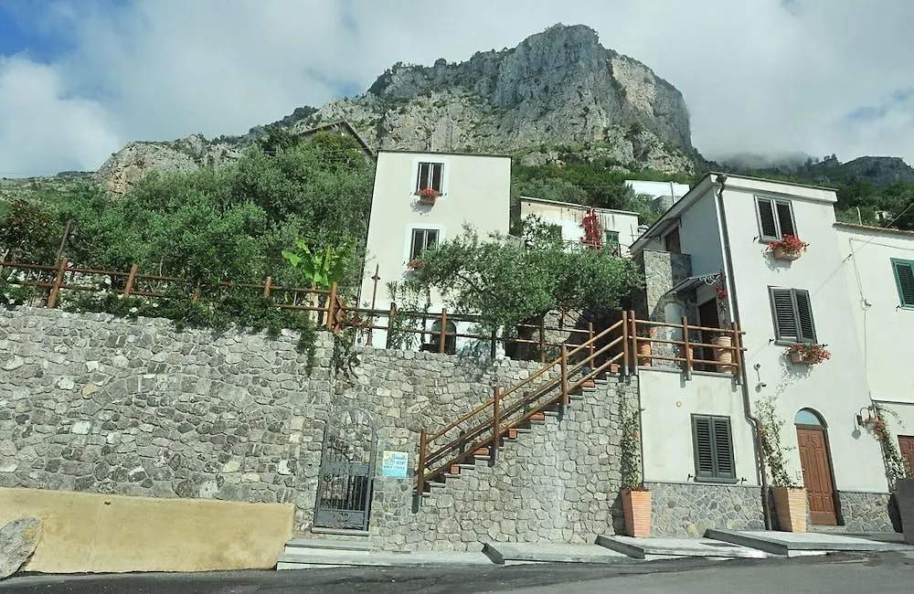 Bed and Breakfast World Center à Amalfi Couette-café
